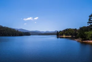 Coagulants and Flocculants reservoir